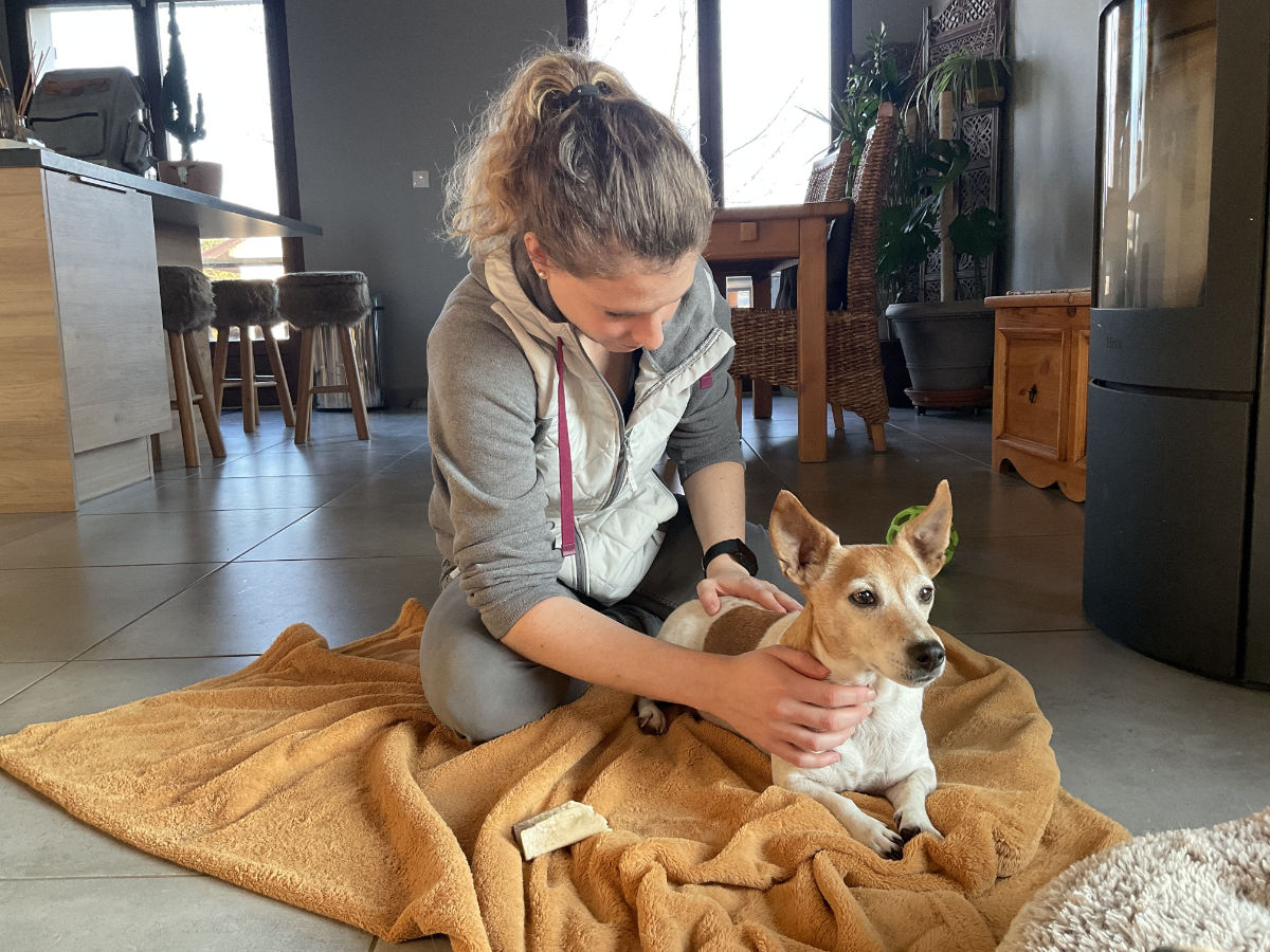 Séance d'ostéopathie canine sur un chien de petite taille