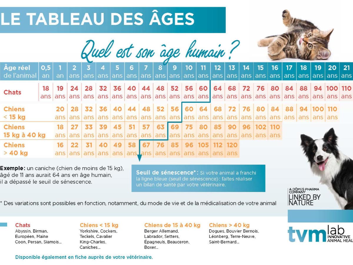 Tableau des âges des animaux en âge humain